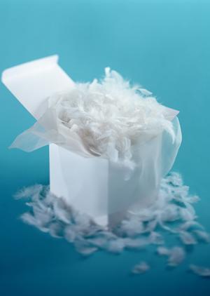 高麗人参を販売しているのはこちら